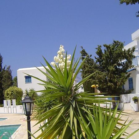 Ikaria Village Maisonette 12 Paphos Bagian luar foto