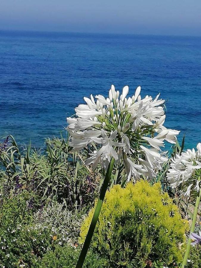 Ikaria Village Maisonette 12 Paphos Bagian luar foto