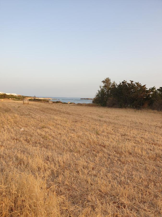 Ikaria Village Maisonette 12 Paphos Bagian luar foto