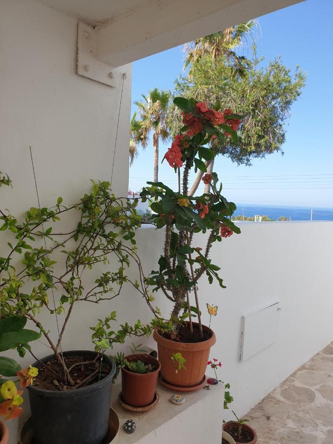 Ikaria Village Maisonette 12 Paphos Bagian luar foto